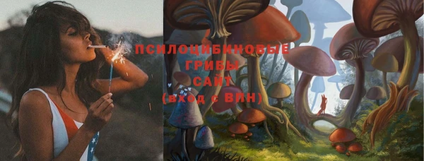 прущая мука Горнозаводск